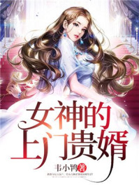 女神的上门贵婿完整版