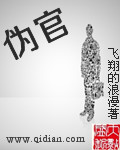 伪官吏什么意思