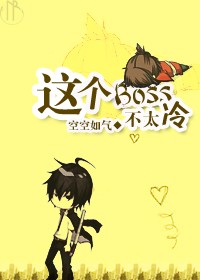 这个boss小说