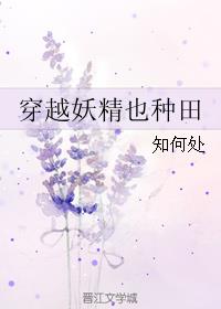 穿越妖精的尾巴的无限流小说