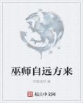 《巫师自远方来》小说阅读