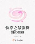 快穿之顶级反派boss不好惹