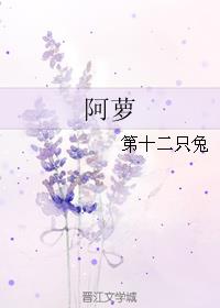 阿萝长安街的药铺