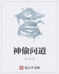 神偷大师电影完整版