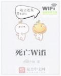 无头wifi