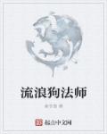 流浪法师教程