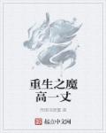 重生之魔法师小说