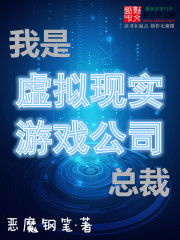 我是虚拟现实游戏公司总裁精校txt