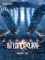 机武风暴txt下载精校版