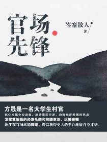 官场先锋岑寨散人完整版