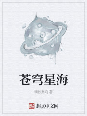 星海苍穹mod汉化