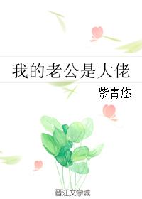 我的老公是大佬 免费阅读