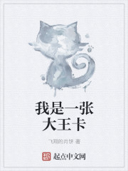 我是一只猫游戏