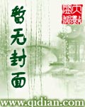 鸭腿将军20科技