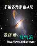 多元宇宙战役