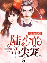 宠妻成瘾陆少的心尖宠漫画免费观看