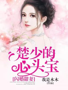 闪婚甜妻楚少的心头宝全文免费阅读结局