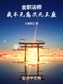 全职法师我本无意次元王座无错