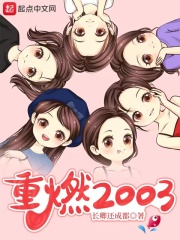 重燃2003下载