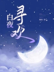 白夜行原著小说