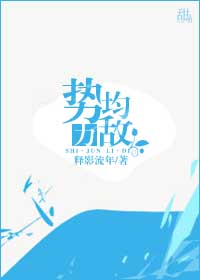 势均力敌小说现实版