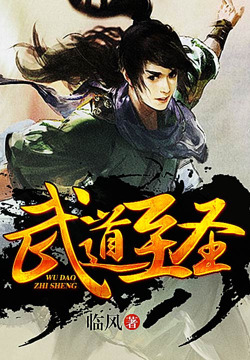 武道至尊6